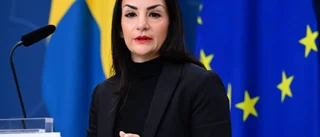 Regeringen vill se fler förintelseresor