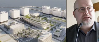 SD: "Kärnkraftsutspelet ingen överraskning för Hjalmarsson"