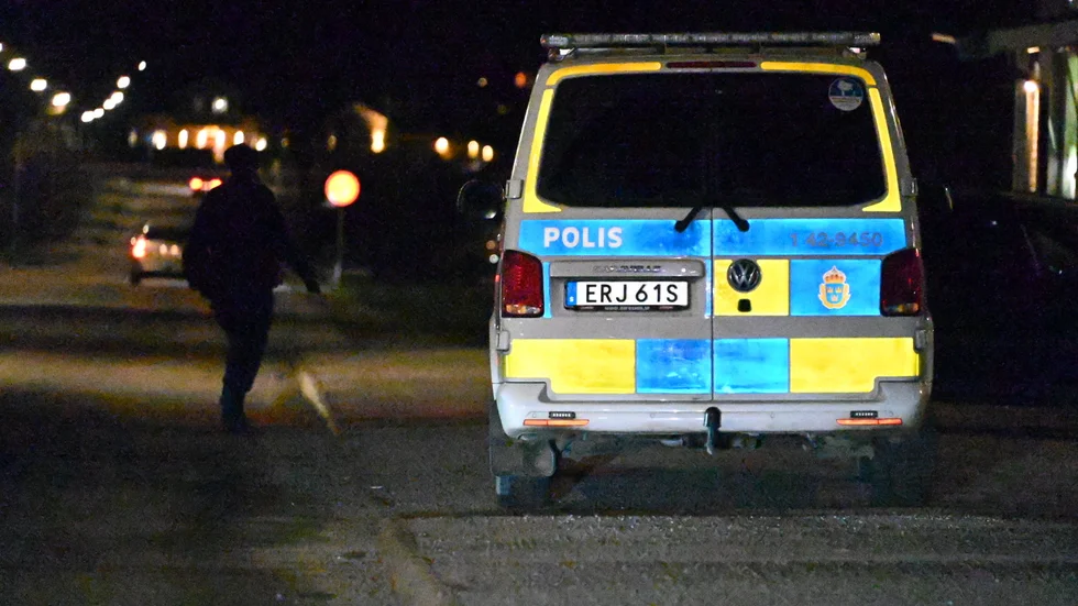 Polisen ingrep mot en misshandel nära Stadsparken i Luleå (arkivbild).
