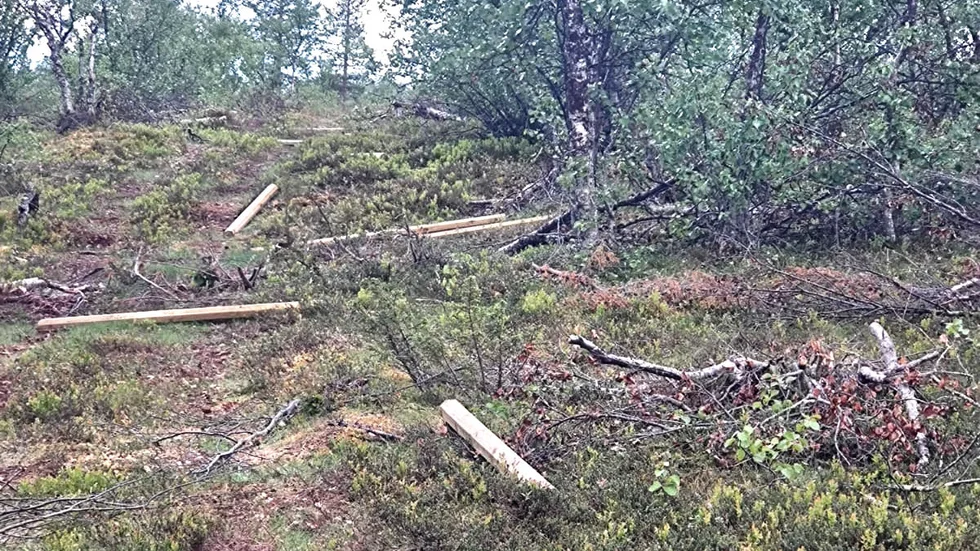 Skadegörelse av stängsel och stolpar har skett efter två olika gränsområden.