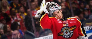 Spelade final för Luleå Hockey – nu blir han tränare 