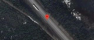 Varning för renar på vägen på E4