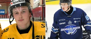 Piteå Hockey blixtvärvar – spelar derby ikväll: "Nervöst men kul"