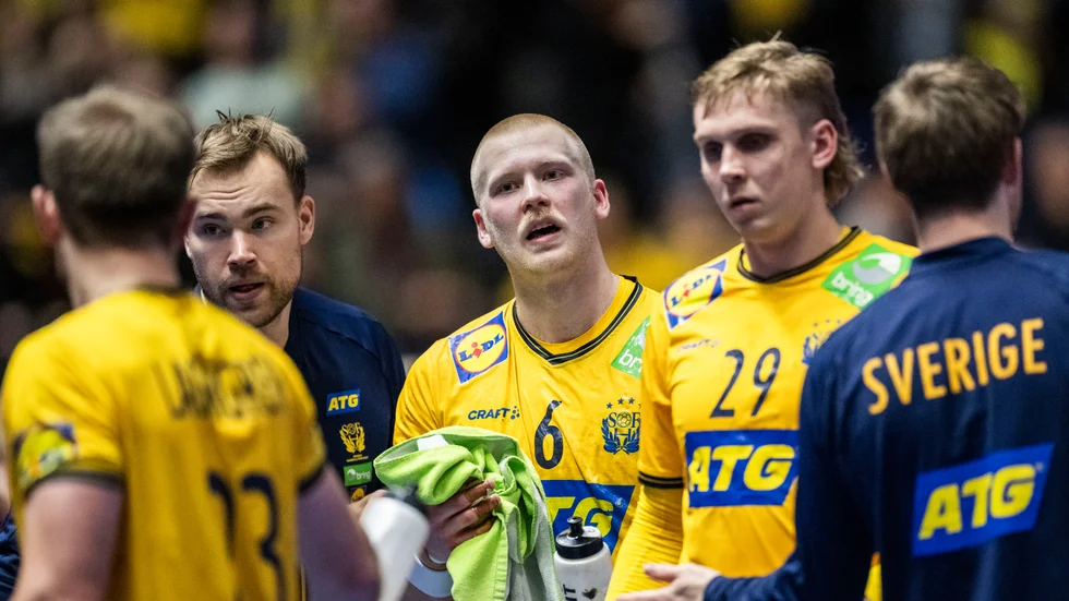 Felix Möller och de andra från svenska landslaget räckte inte till mot Danmark.