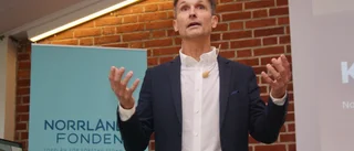 Norrlandsfondens vd lämnar sitt uppdrag