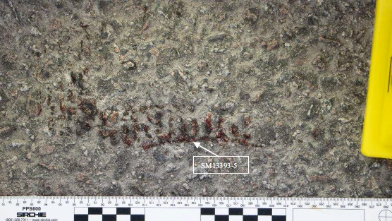 undefined