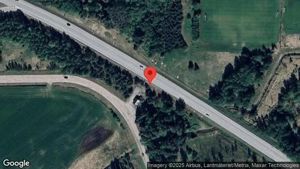 Vildsvin på fel sida viltstängslet på väg 56