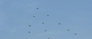 Se när flygplanen vrålar över Luleå