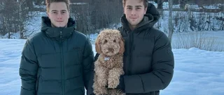 VIK-brödernas jul i Övik: "Skönt att komma hem och känna kyla."