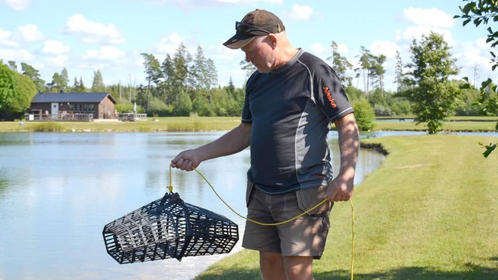 Kräftodlare Peter Nyberg är inte nöjd med fångsten så här långt.