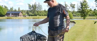 Kräftodling kräver tankemöda