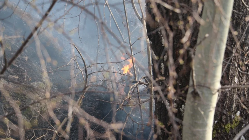 En brand har utbrutit i skog och mark nära Fullerö, norr om Uppsala.