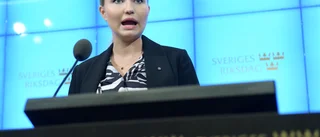 "Jag tror att Kristdemokraterna är rejält trötta på hennes ständiga provokationer"