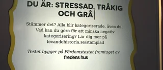 Galleria istället för galleri när historien ska nå yngre