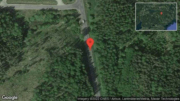 Fallna träd skapar problem i trafiken på väg 55