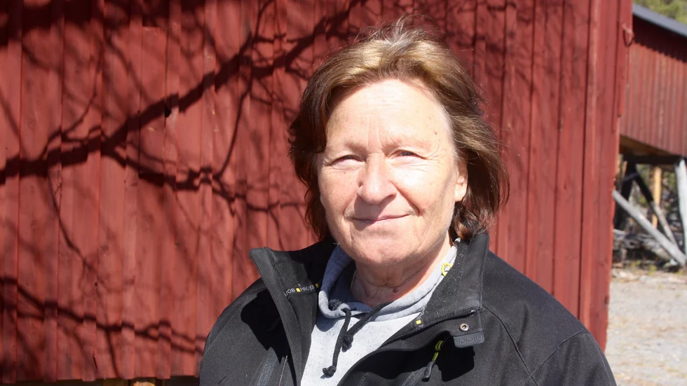 Sonja Hellström, Sverigedemokraternas toppnamn i Norsjö.
