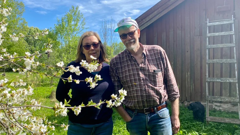 Mellan hägg och hus. Helene Nilsson Lagerman och Micke Lagerman är hyresgäster på den gamla gården.
