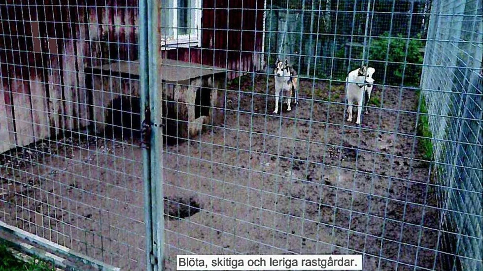Brister. Domstolen menar att mannen saknat kunskaper för att hålla hund.