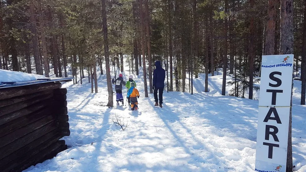 BARNVASA. I helgen arrangerade Friluftsfrämjandet Barnens vasalopp på Gruvberget.