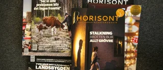 Efter fem år är allt förlåtet, Horisont