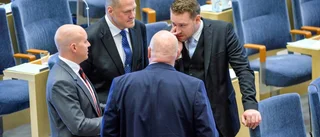 Vad vill Sverigedemokraterna?