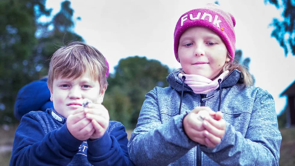 Djurdag på Österåkersbygdens friskola höstterminen 2019. 
Rasmus Wikhagen och Gry Carlsson med nykläckta kycklingar