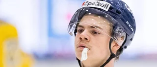 Kalix Hockey värvar – hämtar forward från anrika allsvenska klubben: "Jag är snabb och orädd"