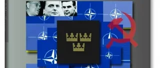Omfattande bevisföring i bok om "dolda alliansen"