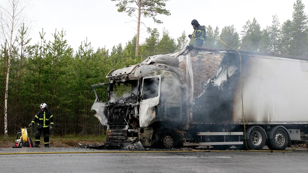 Fliset fick besprutas en bra stund för att det inte skulle blossa upp igen.