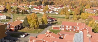 Bolag köper upp mark och bostadsmodul–vill skapa mer studentbostäder: "Vi tycker att det behövs"