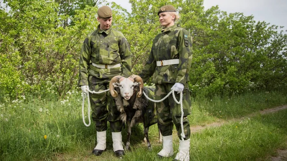 Harald V gjorde sitt första framträdande vid invigningen av nya P18 i fjol. Nu blir han befodrad.