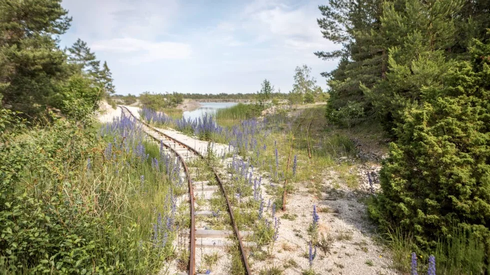 Till höger slutade tidigare järnvägen. Nu fortsätter den 500 meter åt vänster, utmed kalkbrottet, hela vägen till badplatsen.