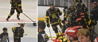 Sportchefen avslöjar – träffat två potentiella tränare: "Tränarbrist" • Nya spelare presenteras snart