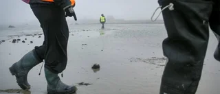 Få fynd efter lördagens strandsök