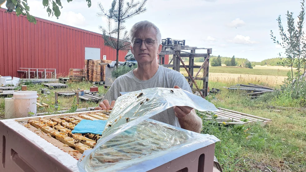 Biodlare Dan Levin har hållit på med bin i 25 år.