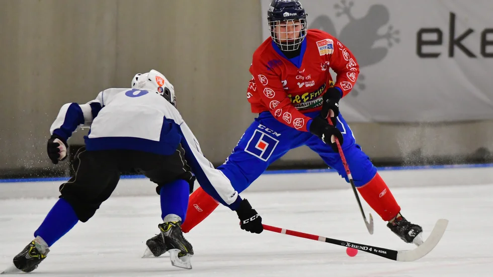 Teo Eklund