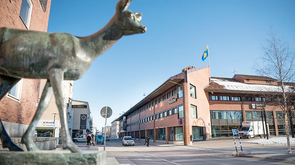 Förvånande att ingen i kommunens organisation reagerade på jävssituationen. 