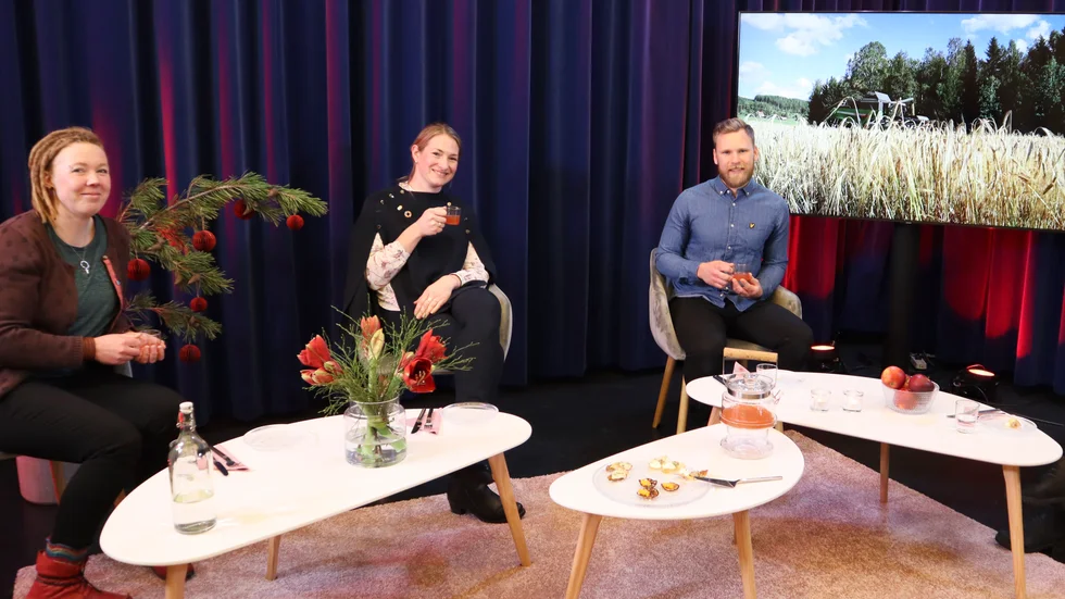 Från vänster: Josefin Lundberg, Hulda Wirsén och Sebastian Gröndal 
