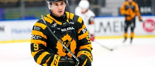 Nowick stängs av – så många matcher får AIK-forwarden