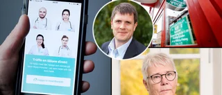 Leivik om nätläkare i Sörmland: "En massa kryphål"
