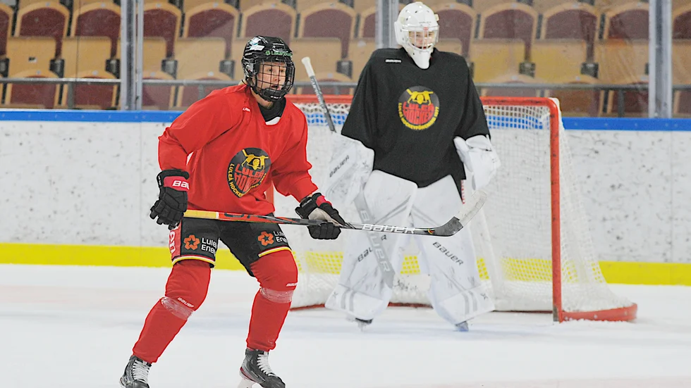 Johanna Fällman tror att Luleå Hockey/MSSK kan ha sin stabilaste backuppsättning någonsin denna säsong.
