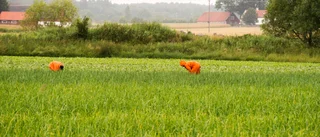 Skärp jordbruksstödet för arbetarnas skull 