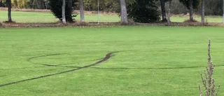 Fotbollsplan förstörd av bilåkning