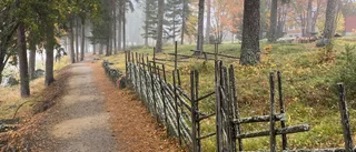 Höstpromenad längs Mjölkuddsstranden