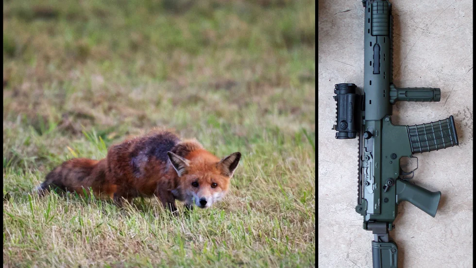 Officer varnas av Försvarsmaktens personalansvarsnämnd