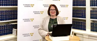 Digitalt demokratibesök i Norrbotten