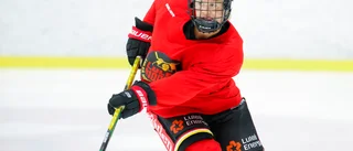 Här är Luleå Hockeys nya backpar