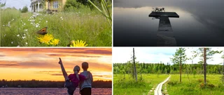BILDEXTRA: Här är läsarnas sommarbilder från vecka 32