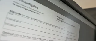 Stugtvist kan avgöras av Kronofogden