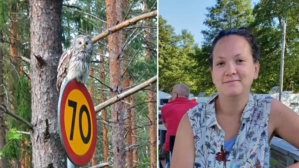 Charlotte Thorstensson fick se en ovanlig syn från bilen på lördagskvällen.